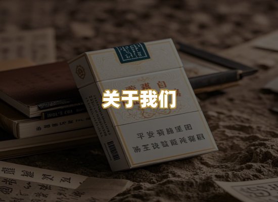 关于我们